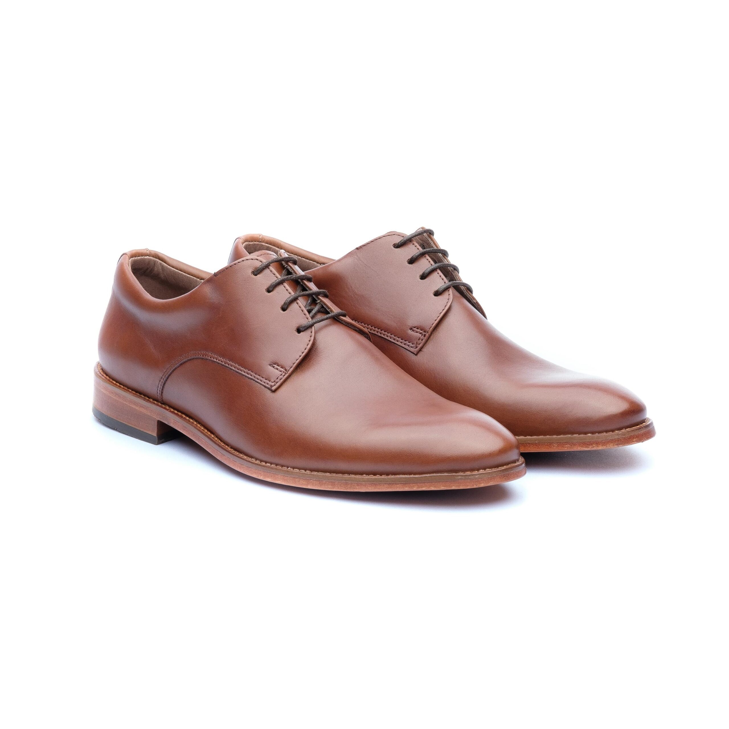Illustrative example of brown leather dress shoes