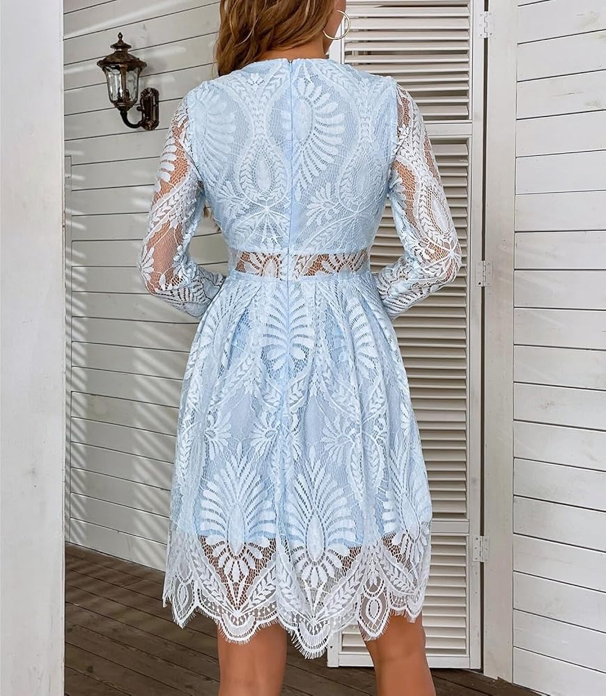 Illustrative example of chiffon and scallop lace mini dress