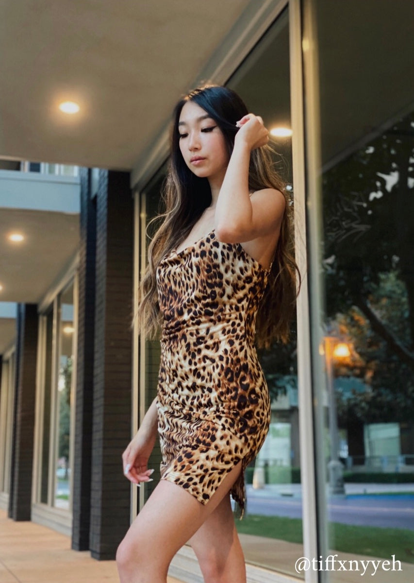 Illustrative example of leopard mini dress