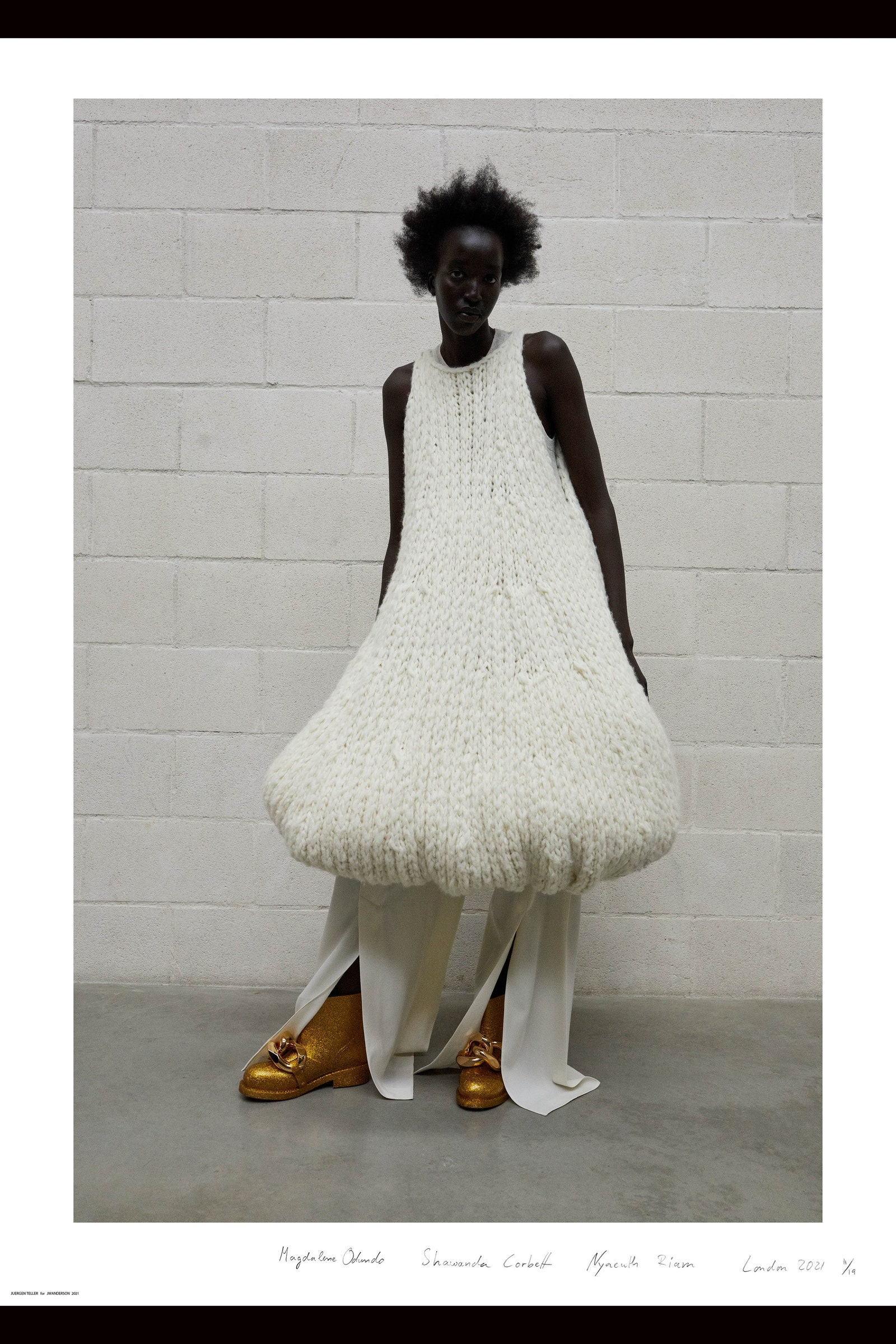 Illustrative example of mushroom dress