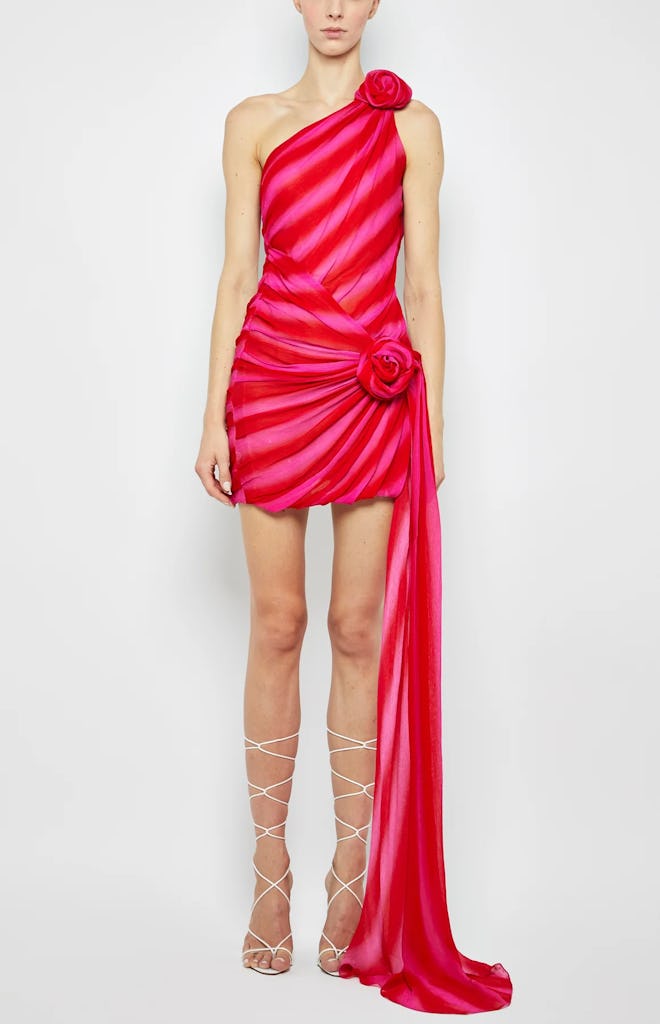 Illustrative example of rosette dress