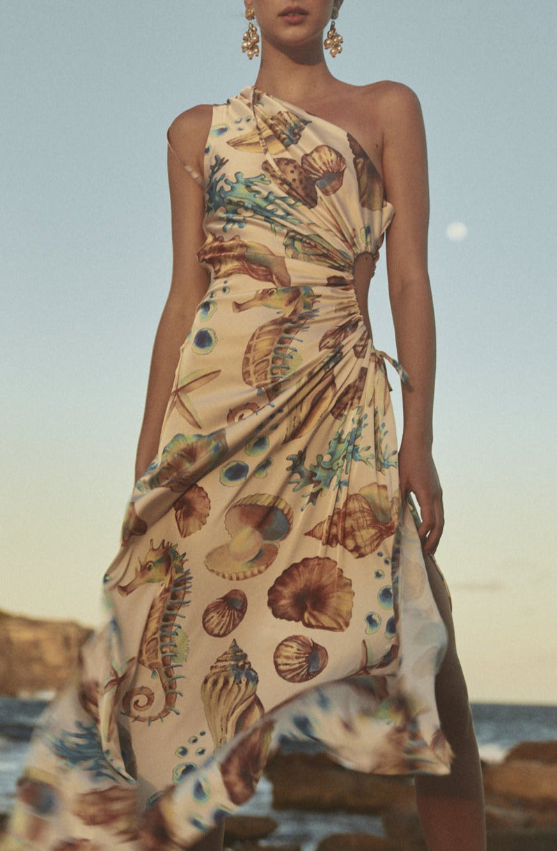Illustrative example of seashell dress