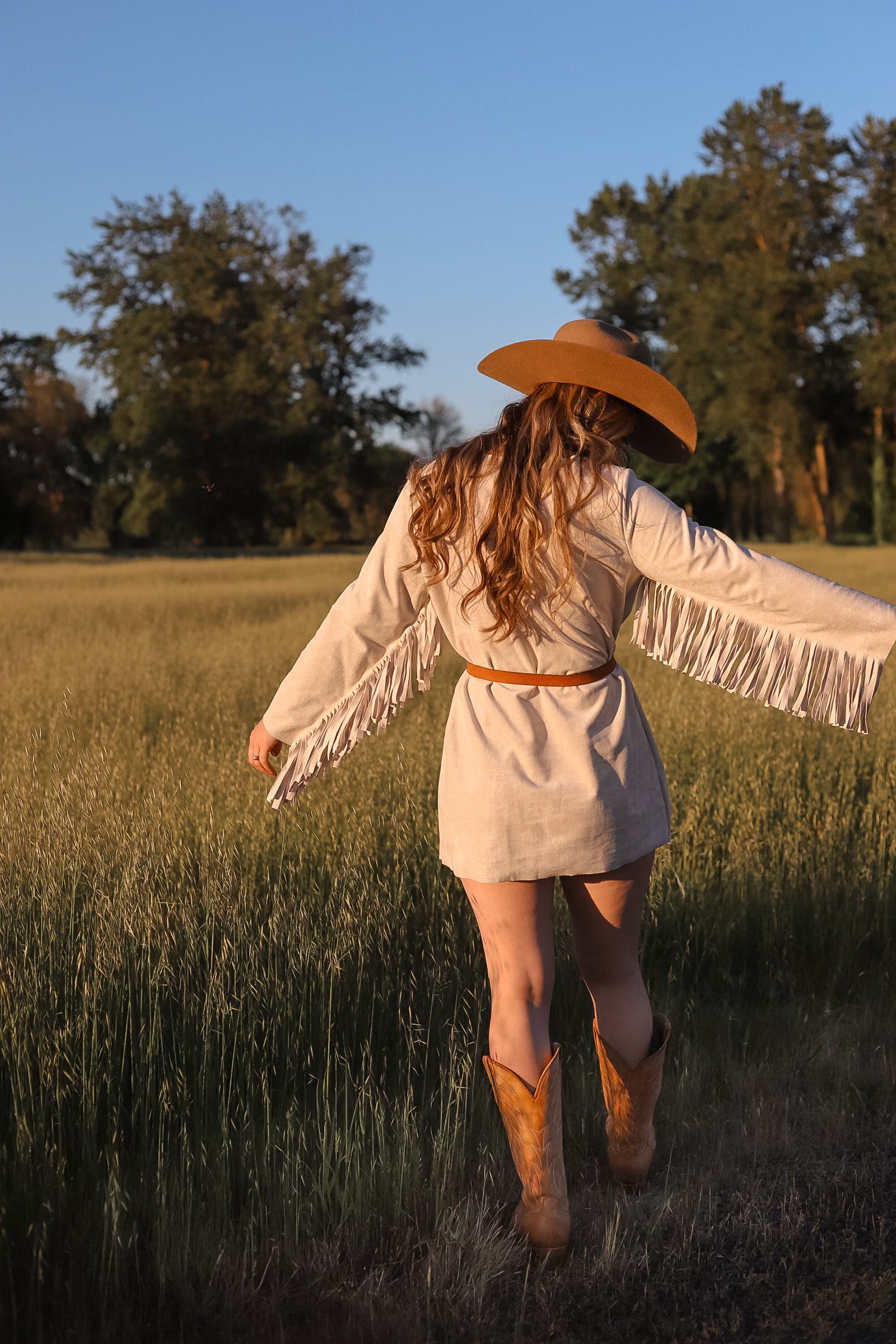 Illustrative example of western fringe dress