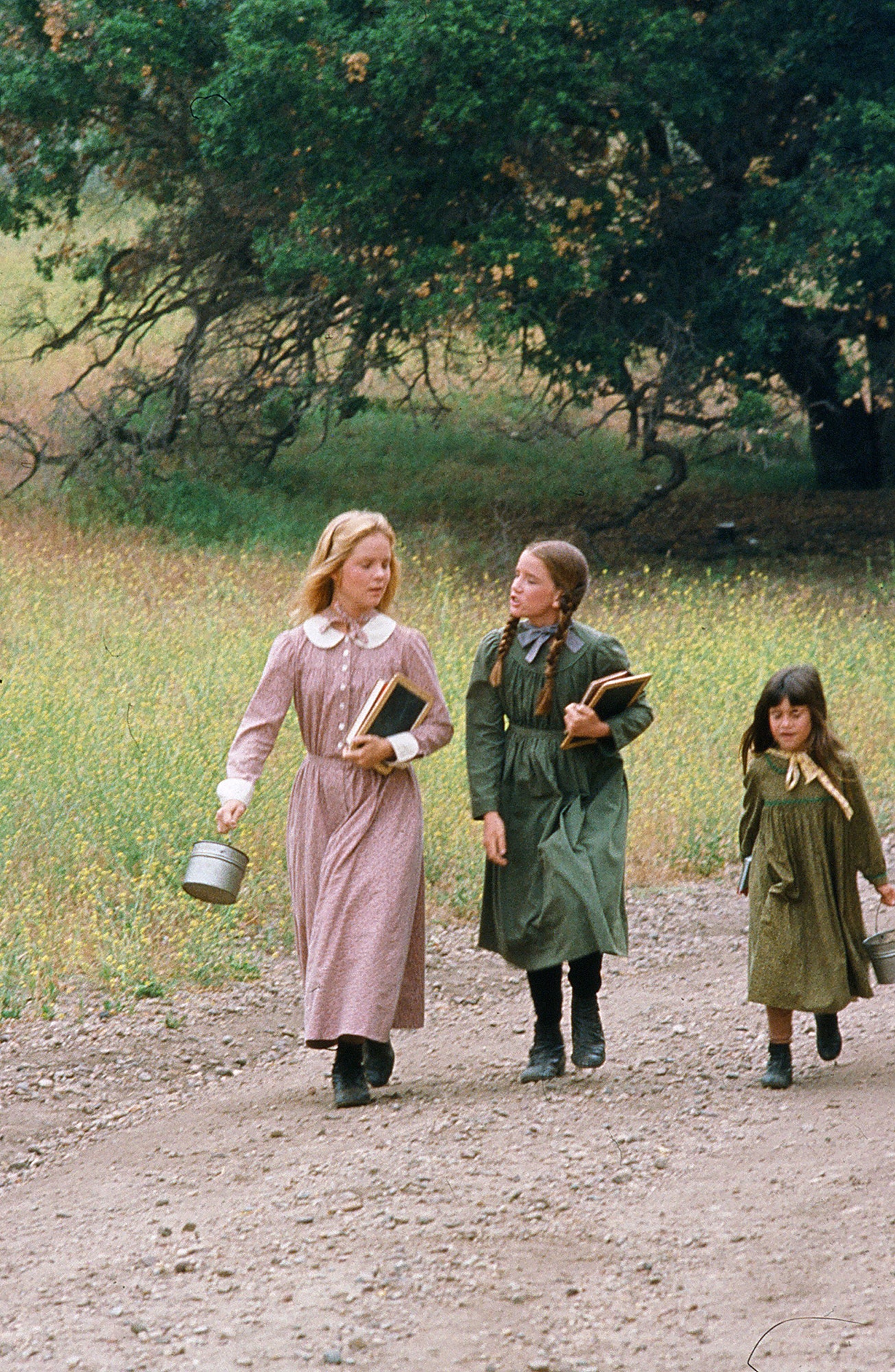 Illustrative example of little house on the prairie dress from Google Search