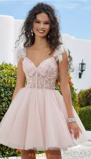Illustrative example of quince dama dresses from Google Search