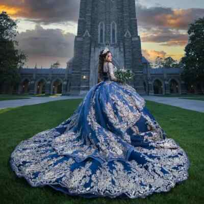 Illustrative example of quinceanera dresses that are blue from Google Search